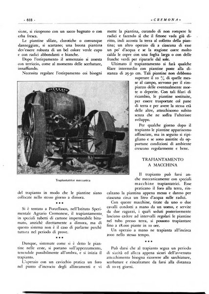 Cremona rivista mensile illustrata della Citta e Provincia