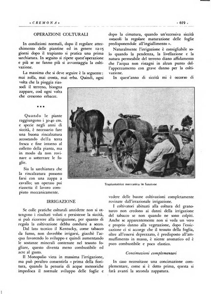 Cremona rivista mensile illustrata della Citta e Provincia