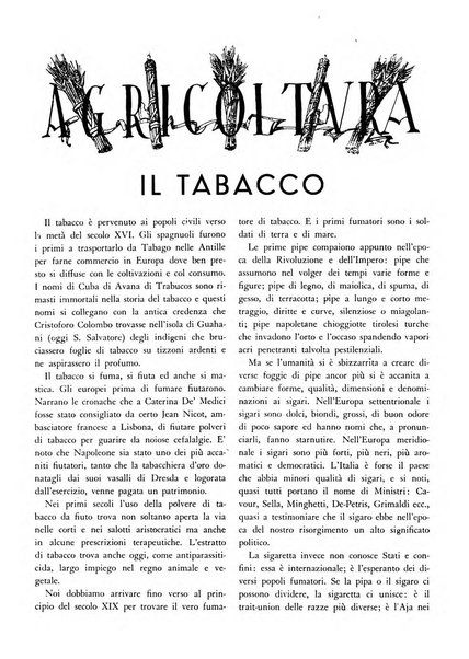 Cremona rivista mensile illustrata della Citta e Provincia