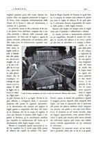 giornale/CFI0344389/1931/unico/00000589