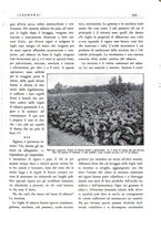 giornale/CFI0344389/1931/unico/00000591