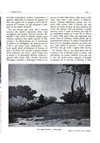 giornale/CFI0344389/1934/unico/00000259
