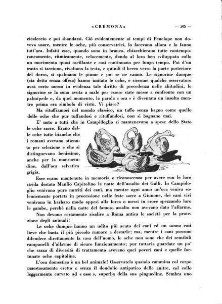 Cremona rivista mensile illustrata della Citta e Provincia