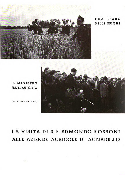 Cremona rivista mensile illustrata della Citta e Provincia