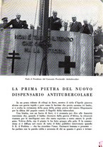 giornale/CFI0344389/1936/unico/00000239