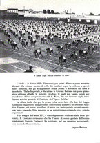 giornale/CFI0344389/1936/unico/00000345