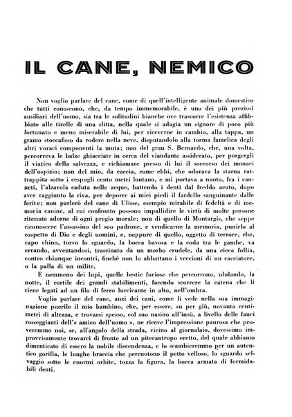 Cremona rivista mensile illustrata della Citta e Provincia