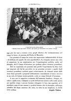 giornale/CFI0344389/1939/unico/00000735