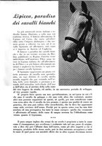 giornale/CFI0344389/1942/unico/00000089