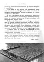 giornale/CFI0344389/1942/unico/00000172