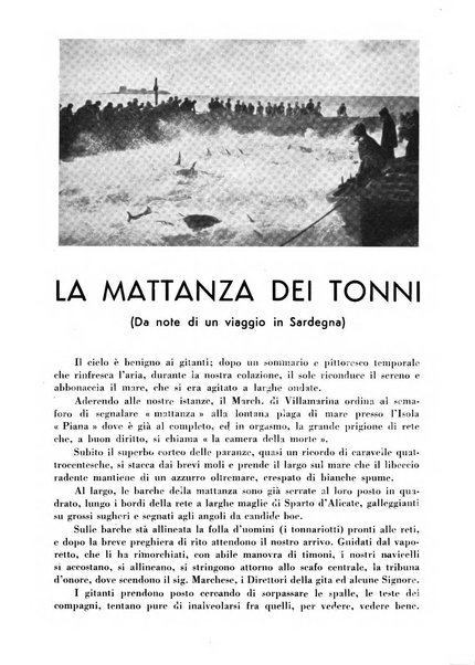 Cremona rivista mensile illustrata della Citta e Provincia