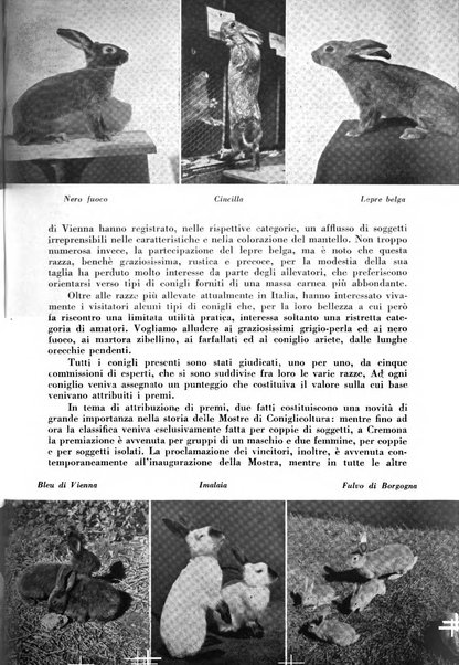 Cremona rivista mensile illustrata della Citta e Provincia