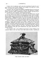 giornale/CFI0344389/1942/unico/00000386