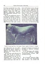 giornale/CFI0344453/1925/unico/00000137