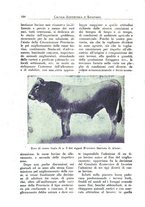 giornale/CFI0344453/1925/unico/00000138