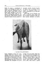 giornale/CFI0344453/1925/unico/00000141