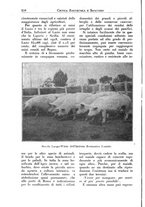 giornale/CFI0344453/1925/unico/00000186