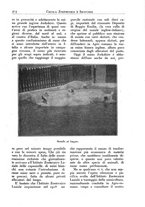giornale/CFI0344453/1925/unico/00000187