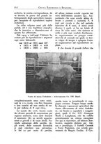 giornale/CFI0344453/1925/unico/00000188