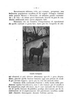 giornale/CFI0344453/1928/unico/00000017