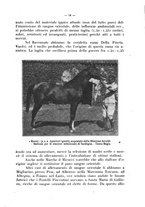 giornale/CFI0344453/1928/unico/00000020