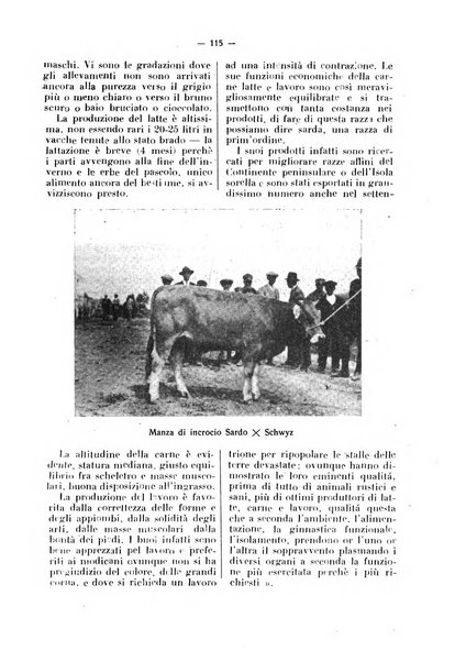 La critica zootecnica periodico illustrato mensile