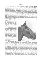 giornale/CFI0344453/1928/unico/00000221