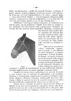 giornale/CFI0344453/1928/unico/00000222