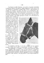 giornale/CFI0344453/1928/unico/00000223