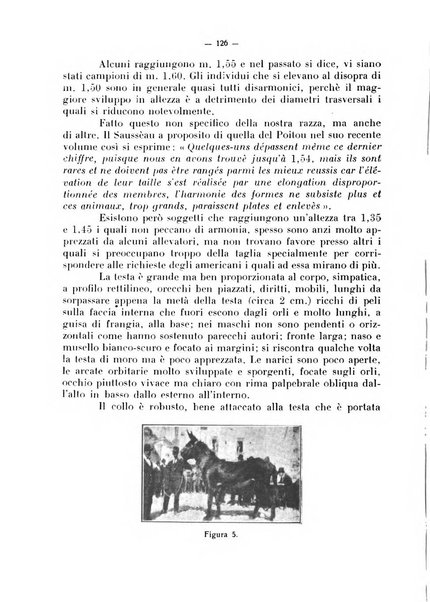 La critica zootecnica periodico illustrato mensile