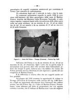 giornale/CFI0344453/1929/unico/00000156