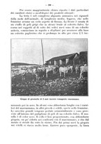 giornale/CFI0344453/1929/unico/00000340