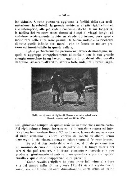 La critica zootecnica periodico illustrato mensile