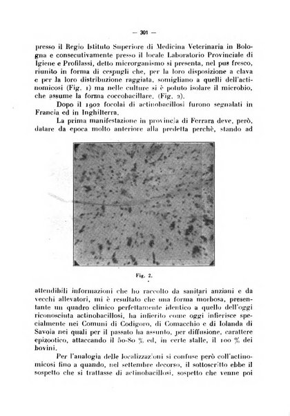 La critica zootecnica periodico illustrato mensile