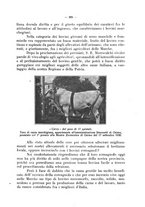 giornale/CFI0344453/1930/unico/00000407