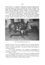 giornale/CFI0344453/1931/unico/00000204
