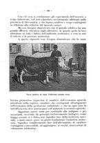 giornale/CFI0344453/1931/unico/00000205