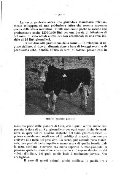 La critica zootecnica periodico illustrato mensile