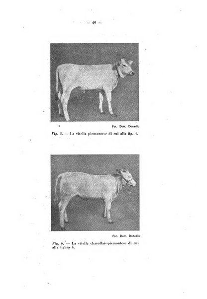 La critica zootecnica periodico illustrato mensile