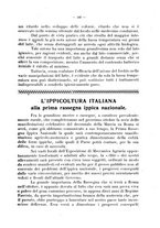 giornale/CFI0344453/1932/unico/00000437