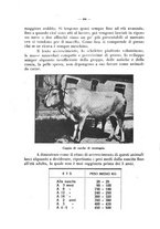 giornale/CFI0344453/1932/unico/00000496