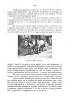 giornale/CFI0344453/1932/unico/00000497