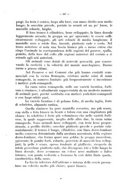 La critica zootecnica periodico illustrato mensile