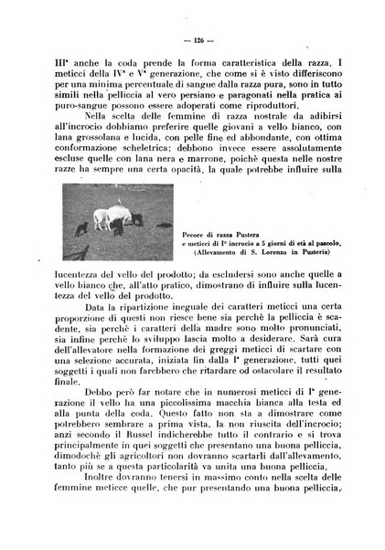 La critica zootecnica periodico illustrato mensile