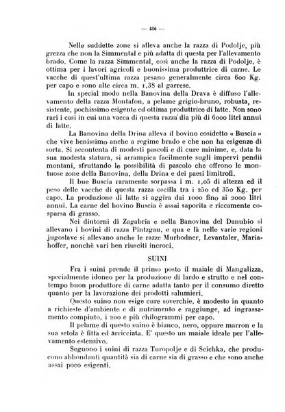 La critica zootecnica periodico illustrato mensile