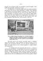 giornale/CFI0344453/1933/unico/00000615