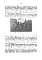 giornale/CFI0344453/1934/unico/00000139