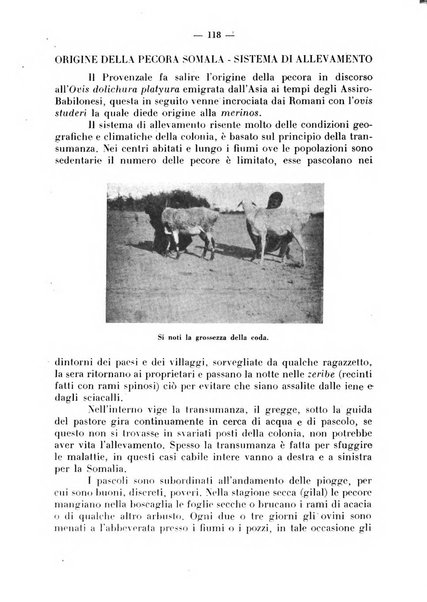 La critica zootecnica periodico illustrato mensile