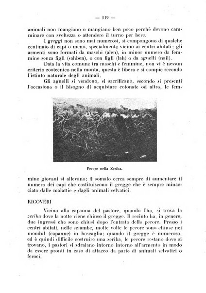 La critica zootecnica periodico illustrato mensile