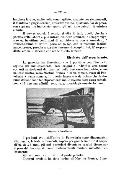 La critica zootecnica periodico illustrato mensile